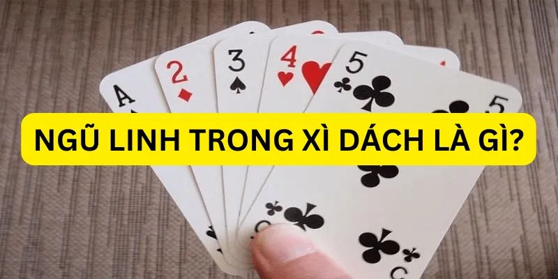                                             Ngũ Linh Xì Dách Là Gì?